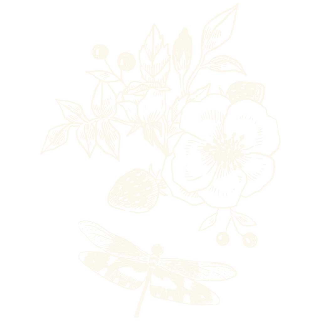 Plant bioresonantie healing